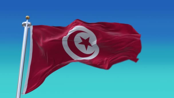 4k Tunisia Bandiera nazionale rughe sventolando vento cielo senza soluzione di continuità loop sfondo . — Video Stock