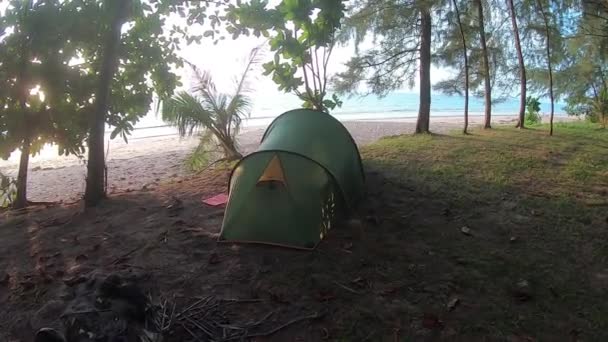 4k Beach camping, tropischer unberührter Strand mit Kokospalmen und Meer, Thailand. — Stockvideo