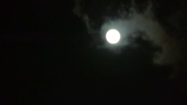 Lua cheia através nublado, voo noturno sobre nuvens, cena mistério fairyland. — Vídeo de Stock