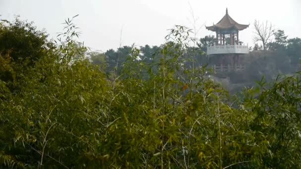 Wind schudden bamboe, paviljoen op heuvel in afstand. — Stockvideo
