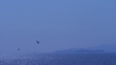 Kargo gemisi hareket üzerinde köpüklü dalgalar.