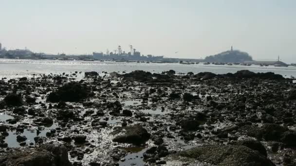 Tsingtao trestle.Island of Qingdao City.Warship zacumowany w porcie, rafa. — Wideo stockowe