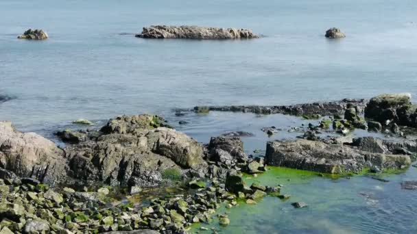 Ocean water surface and rock reef coastal,algae,seaweed,ebb,horizon,skyline. — Stock Video