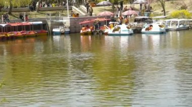 Işıl ışıl göl kenarındaki yoğun söğütler, turistler su üzerindeki gemilerde geziyorlar.