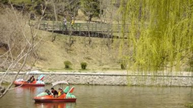 Işıl ışıl göl kenarındaki yoğun söğütler, turistler su üzerindeki gemilerde geziyorlar.