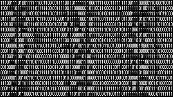 The Matrix style binary code.Seamless loop.future tech background.4k — Stock Video