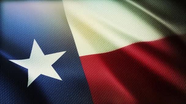 4k Texas flagga, stat i USA Amerika, tyg struktur sömlös bakgrund. — Stockvideo