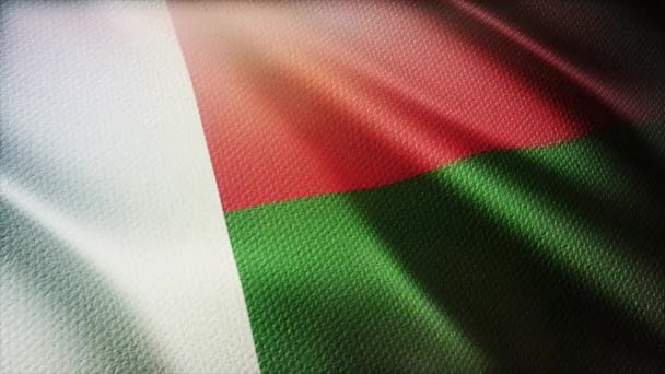 4k Madagascar National flag wrinkles wind in Malagasy seamless loop background. — Stock Video
