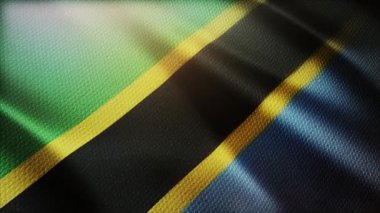 4k Tanzanya Ulusal Bayrak kırışıklıkları Rüzgar Tanzanya 'nın pürüzsüz arka planında.