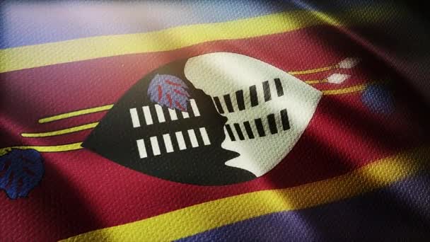 4 тыс. Свазиленд Национальный флаг морщины в ветер Свази бесшовные петли фон. — стоковое видео