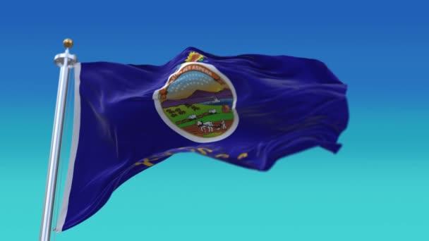 4k Kansas bayrağı, Amerika Birleşik Devletleri, kumaş dokusu döngü arka planı. — Stok video