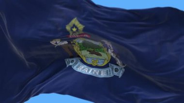 4k Louisiana Eyalet Bayrağı, Amerika Birleşik Devletleri, kumaş dokusu döngü arka planı.