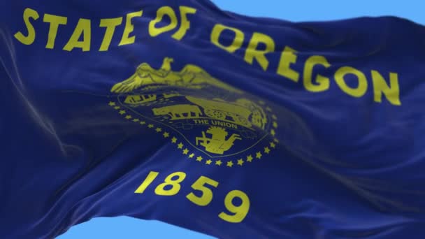 4k俄勒冈州旗，美国州，布纹理回旋背景. — 图库视频影像