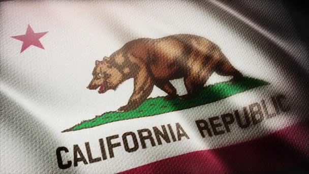4k σημαία Καλιφόρνιας, κατάσταση στις Ηνωμένες Πολιτείες Αμερικής, υφασμάτινη υφή βρόχο φόντο — Αρχείο Βίντεο
