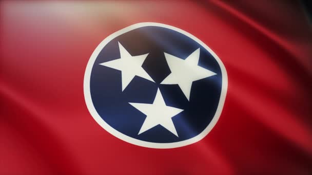4k Tennessee bayrağı, Amerika Birleşik Devletleri devleti, kumaş dokusu döngüsü arka planı. — Stok video