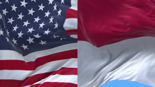 4k Förenta staterna Usa och Monaco National flagga sömlös bakgrund. — Stockvideo