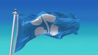 Petrol İhraç Eden Ülkelerin 4k Organizasyonu, OPEC döngü arkaplanı.