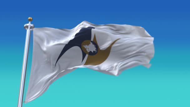 4k Euraziatische Economische Unie vlag, EEU doek textuur naadloze lus achtergrond. — Stockvideo