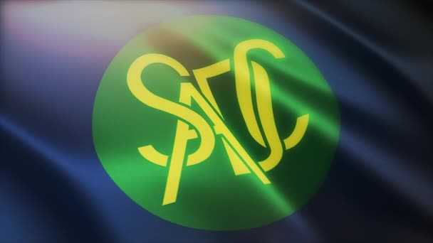 4k Södra Afrikas utvecklingsgemenskap flagga, SADC sömlös loop bakgrund. — Stockvideo