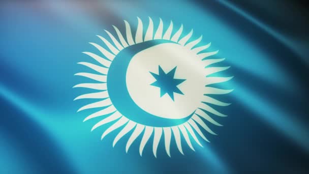 4k Turkic Council flag,cloth texture seamless loop background. — Stock Video