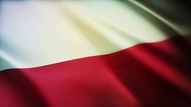 4k Πολωνία Εθνική σημαία ρυτίδες βρόχο απρόσκοπτη άνεμο στην πολωνική φόντο. — Αρχείο Βίντεο