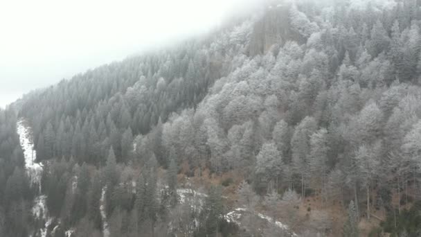 Drone Levanta Vuela Sobre Bosque Invierno Que Cubre Las Montañas — Vídeo de stock