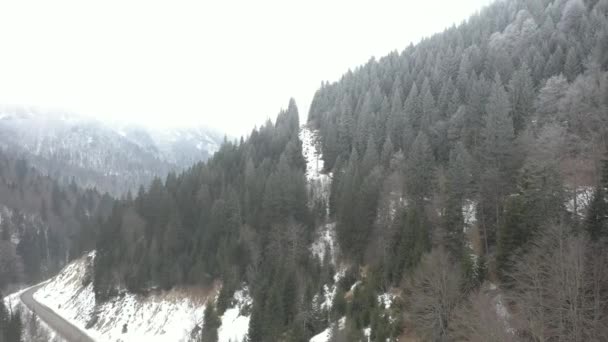 Drone Lève Vole Dessus Forêt Hiver Qui Couvre Les Montagnes — Video