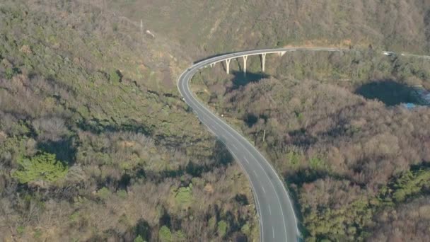 狭い曲がりくねった山道 橋の上に車やトラックが行くの空中ショット 針葉樹林に覆われた山々の周りには — ストック動画