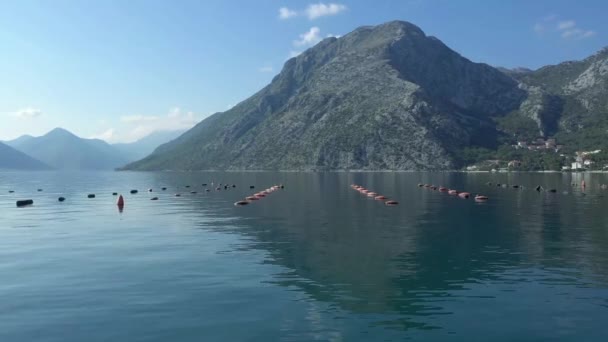 Pittoreska Bukten Adriatiska Havet Omgiven Berg Utsikt Över Skaldjursgården Där — Stockvideo
