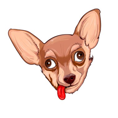Şirin köpek. Chihuahua köpeği, kafa. İzole bir illüstrasyon. 10 vektör