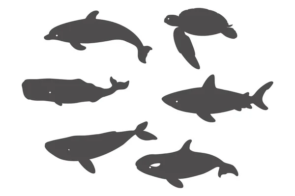 शार्क, सागर कछुए, डॉल्फिन और व्हेल . — स्टॉक वेक्टर
