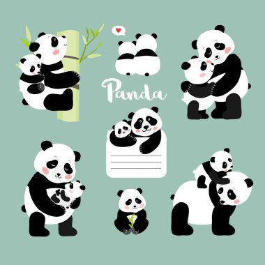 Panda anne bebek pozisyonları ile kümesi