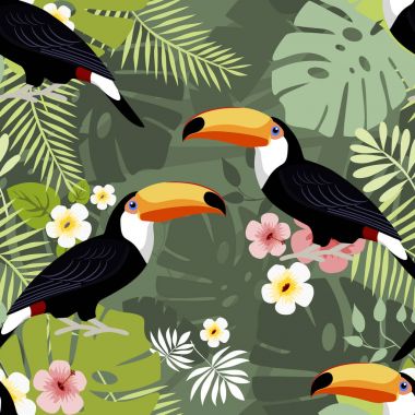 Toucan seamless modeli, vektör illustraation