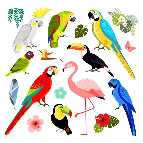 Egzotik kuşlar, izole vektör çizim seti — Stok Vektör