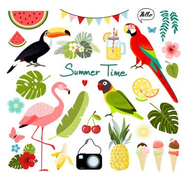 Yaz tropikal grafik öğeleri