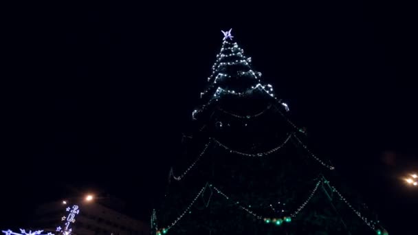 夜晚的城市街道上的漂亮圣诞发光圣诞树 — 图库视频影像