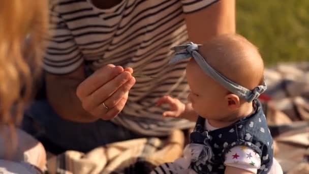 Small child with parents playing with grass — Stock Video