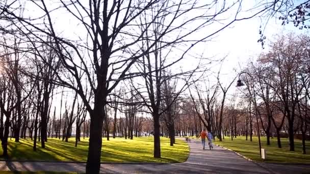 In the recreation park a guy teaches his girl to ride a bicycle — Stock Video