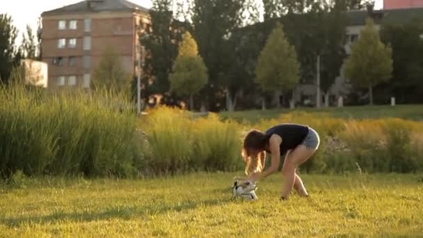 Όμορφο κορίτσι παίζει με το σκύλο της στη φύση — Αρχείο Βίντεο