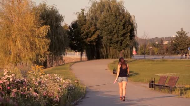 Dívka se psem chodí v parku — Stock video