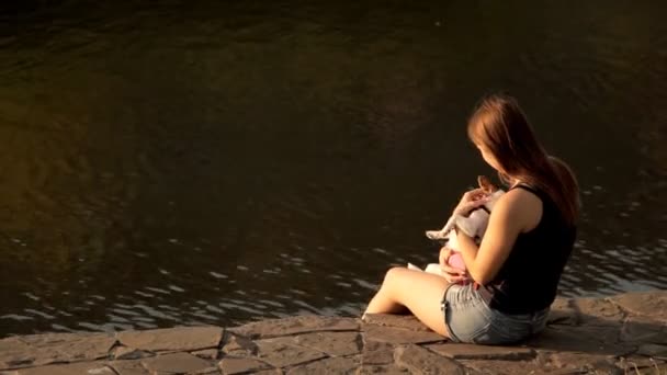 Дівчина з собакою сидить біля озера на заході сонця — стокове відео