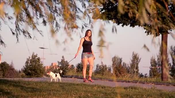 Милая девушка гуляет с собакой в парке на закате — стоковое видео