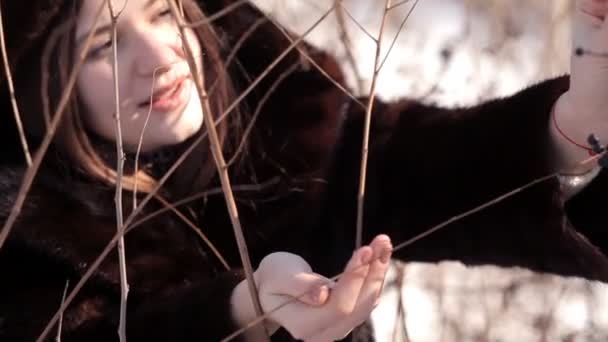 Schattig meisje op een besneeuwde weide scheurt winter bessen van een struik — Stockvideo