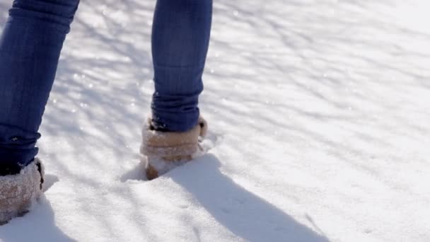 Langzaam wandelen in de sneeuw op een zonnige dag — Stockvideo