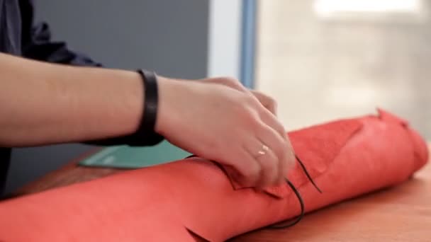 마스터 롤 가죽 제품의 생산을 위한 빨간 가죽의 해제 — 비디오