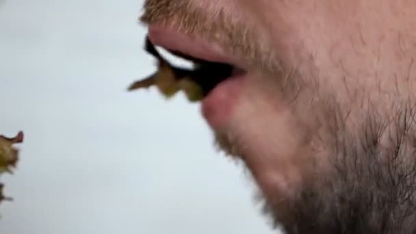 Närbild man med en skiva grönsaker i munnen, vegan livsstil koncept, sidovy — Stockvideo