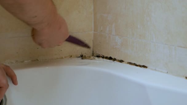 The concept of cleaning mold and rust in the bath. Mold at the seams in the bathroom — Stock Video