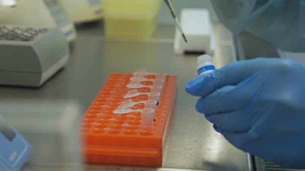 Araştırmacı bir laboratuarda pipetle çalışıyor. Laboratuvar Asistanı Laboratuvar Malzemeleri Kullanımı. Pipette bilim adamı test tüplerindeki DNA veya molekülleri analiz eder ve ayrıştırır. — Stok video