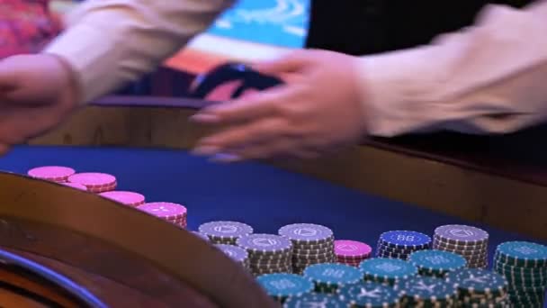 The croupier moves the chips onto the table in the casino. Nightlife, casino gambling. Roulettes — Stock Video