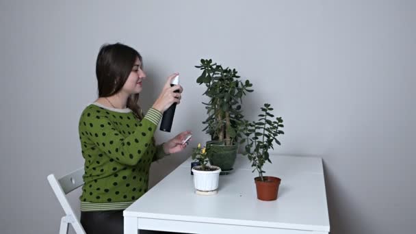 Mujer joven europea que cuida de una planta de interior en una olla. La niña limpia suavemente las hojas verdes de un árbol ficus en la habitación. Los procedimientos de agua para una flor en una olla. Concepto de cuidado vegetal — Vídeo de stock